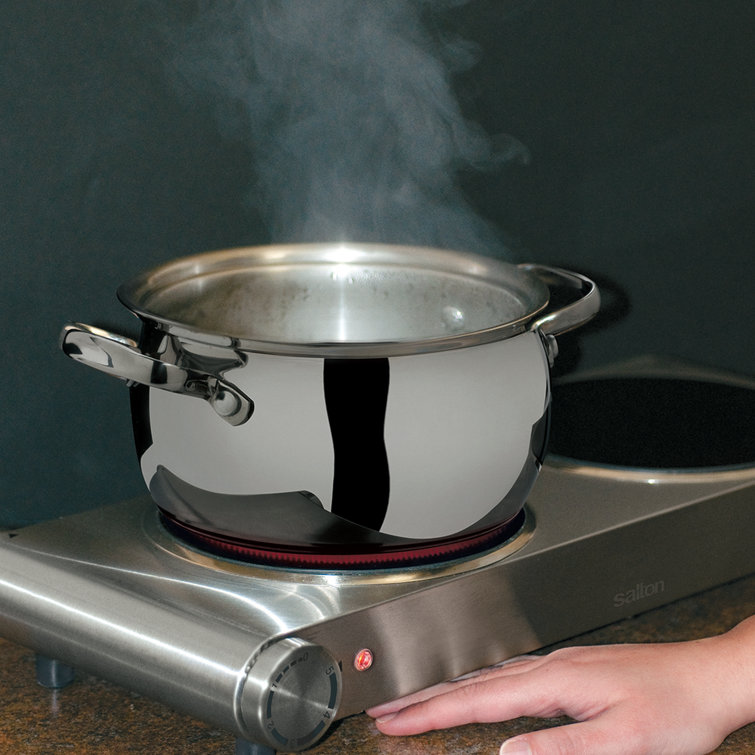 Salton Electric Double Hot plate & Reviews Wayfair